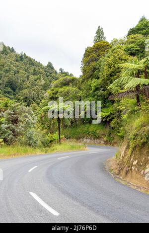 Curvy street in Whanganui district, New Zealand Stock Photo