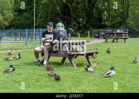 Young couple sitting in a park feeding the ducks Stock Photo