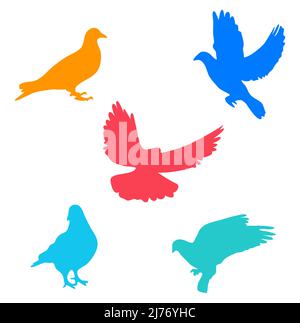 Multicolored Pigeon Icon Set of 5 Stock Vector