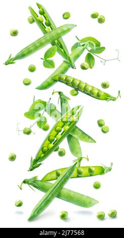 Levitation of green peas. Peas and pea pod falling down isolated on white background. Stock Photo