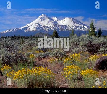 Mt. Shasta and Shastina, Cascade Range, California Stock Photo