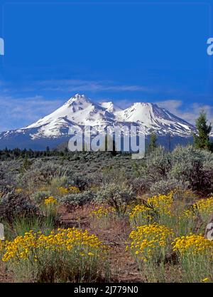 Mt. Shasta and Shastina, Cascade Range, California Stock Photo