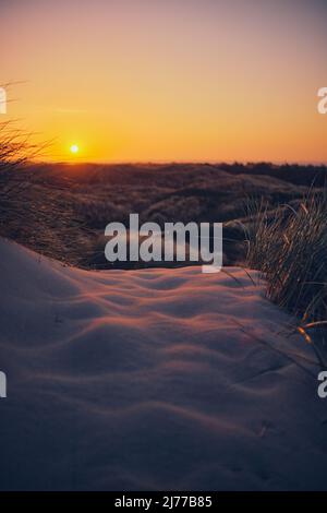 Sand in the dunes of Denmark. High quality photo Stock Photo