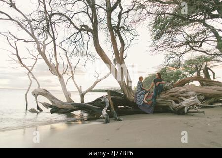 Interracial couple sitting on old tree on beach in Maui Hawaii Stock Photo
