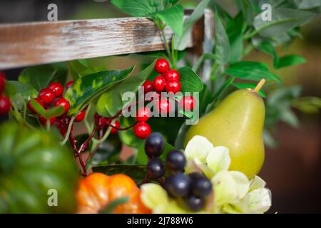 Vegetables from garden. Autumn harvest. Healthy food with vitamins. Fresh fruit collected in basket. Products created by nature. Stock Photo