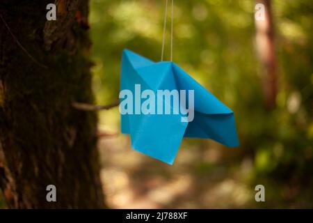 Paper airplane hangs on string. Origami made of blue paper. Decoration of park. Creative object made of snail paper. Stock Photo