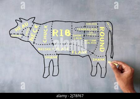 Hand drawn image of butcher beef cuts diagram on chalkboard. Stock Photo