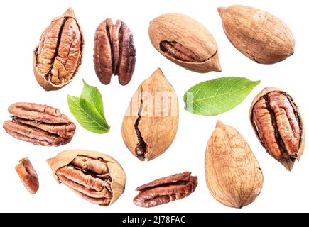 Set of shelled and cracked pecan nuts isolated on white background. Stock Photo