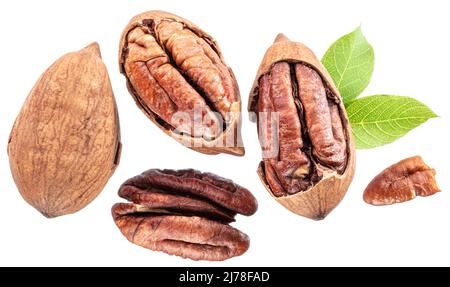 Set of shelled and cracked pecan nuts isolated on white background. Stock Photo