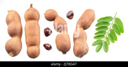 Set of ripe tamarind pods, leaves and tamarind seeds isolated on white background. Stock Photo