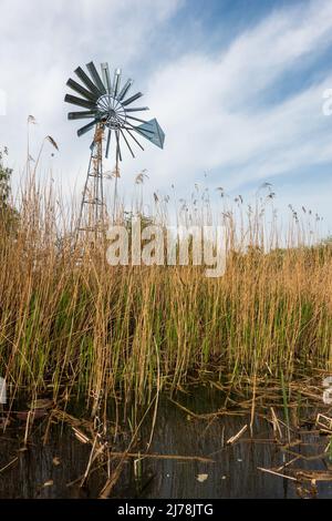 Modern metal wind pump, Cambridgeshire fens Stock Photo