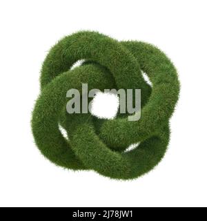 Torus knot made of realistic grass, isolated on white background. 3D illustration. Stock Photo