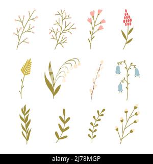 A set of simple twigs, spring flowers, herbs. Lily of the valley, willow, bell. Minimalistic flat hand drawn botanical decorative elements. Color vect Stock Vector