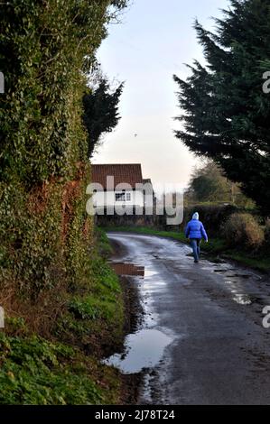 solitary woman walking along wet muddy country road broome norfolk england Stock Photo