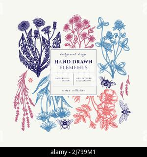 Tea herbs square card or invitation design. Frame design with chamomile, cinnamon rose, etc. Stock Vector