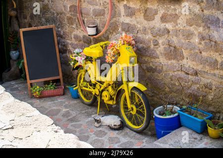 Decoration yellow bicycle  with flowers on the street, against the wall. Street cat next to the bike. Summer Stock Photo