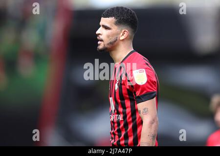 BOURNEMOUTH, UK. MAY 7TH   Dominic Solanke of AFC Bournemouth during the Sky Bet Championship match between Bournemouth and Millwall at the Vitality Stadium, Bournemouth on Saturday 7th May 2022. (Credit: Tom West | MI News) Credit: MI News & Sport /Alamy Live News Stock Photo