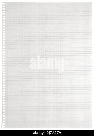 Checked spiral notebook page paper background old aged white chequered ring binder sheet flat lay A4 copy space isolated vertical grey squared pattern Stock Photo