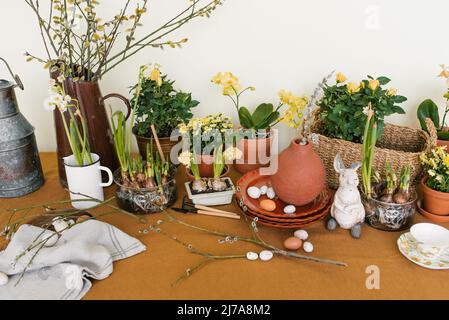 Easter holiday decor. Daffodils and hyacinths in a pot, eggs and a rabbit figurine and branches in vases Stock Photo