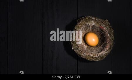 Bird Egg in Nest on Dark Wooden Table - Banner of Golden Egg. Investment Concept Stock Photo