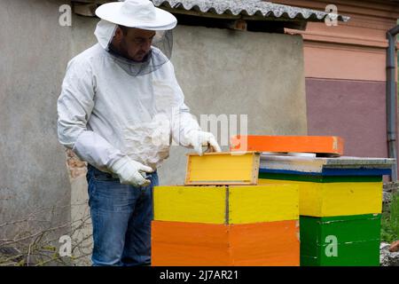 The beekeeper in protective clothing checks and inspect the frames from the hive on a sunny spring day in in the apiary Stock Photo