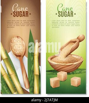 Set of two cane sugar vertical banners with reed sticks and leaves cubic and sand sugar vector illustration Stock Vector