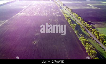 Fields in early spring summer morning from great height. Aerial drone view Stock Photo