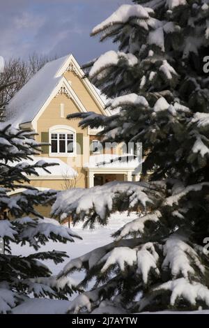 Modern red nuanced brick and beige wood plank cladded two story cottage country style home in winter. Stock Photo