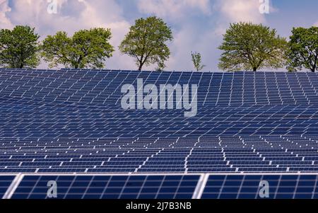 Tele shot on solar panels with trees in the background Stock Photo