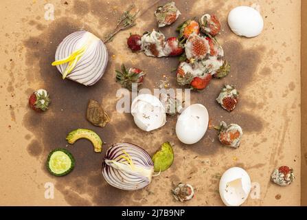 Top view of rotten food leftovers on soiled cardboard. Rotten fruit, vegetables and eggshells thrown for composting. Food waste concept. Stock Photo