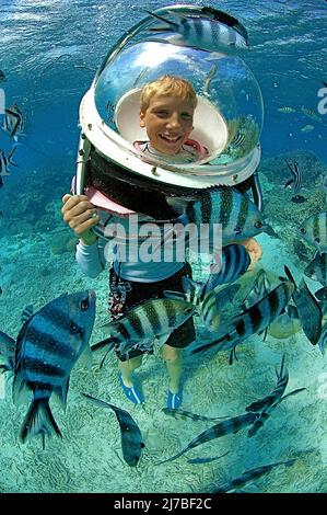 Undersea walk, Underwaterwalk, kid with diving helmet playing with Sergeant Major fishes or píntanos (Abudefduf saxatilis), Mauritius, Indian Ocean Stock Photo