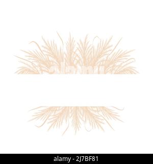 Frame with dry pampas grass. Border with beige cortaderia in boho style. Vector dried flowers isolated on white background. Trendy element design for Stock Vector
