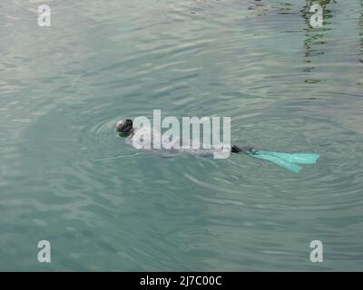 ALANYA, TURKEY - OCT 30, 2021. Spearfisher iwith speargun, mask and snorkel Stock Photo