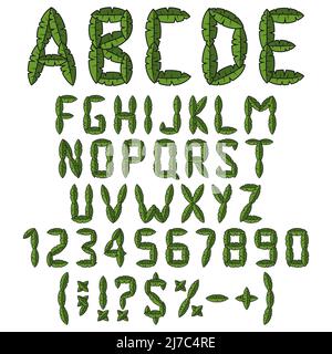 Alphabet, letters, numbers and signs from green leaves. Isolated vector objects on a white background. Stock Vector