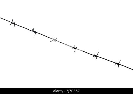 Barbed wire silhouette on a white background. Isolate. Stock Photo