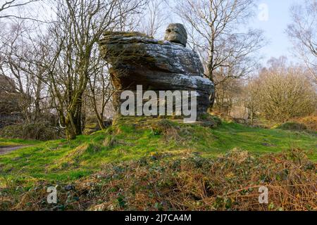 Weathered Yorkshire gritstone rock standing on a grassy mound Stock Photo