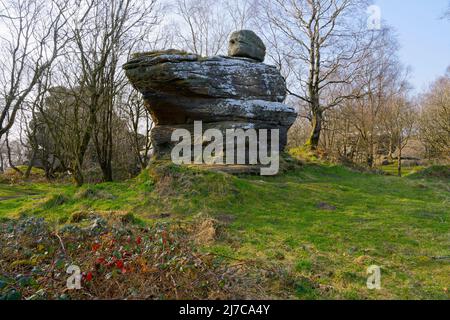 On a misty Yorkshire day a large lichen covered gritstone outcrop stands on a grass covered mound. Stock Photo