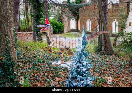 Model of Cretaceous period Deinonychus, a raptor dinosaur, with festive red hat at the family entertainment Snowsaurus event at Painshill Park, Cobham Stock Photo