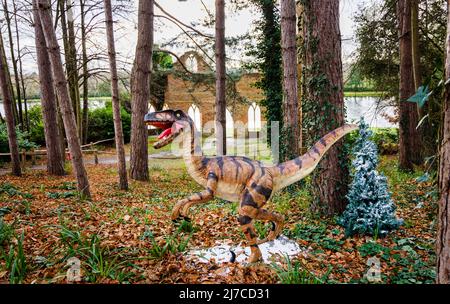 Models of Cretaceous period Deinonychus, a raptor dinosaur, at the annual family entertainment Snowsaurus event at Painshill Park, Cobham, Surrey Stock Photo