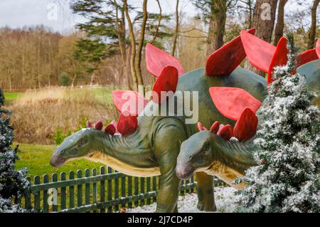 Models of a Jurassic period Stegosaurus, a herbivore dinosaur, at the annual family entertainment Snowsaurus event at Painshill Park, Cobham, Surrey Stock Photo