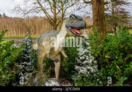 Model of a Jurassic period Allosaurus, a raptor dinosaur, at the annual family entertainment Snowsaurus event at Painshill Park, Cobham, Surrey Stock Photo