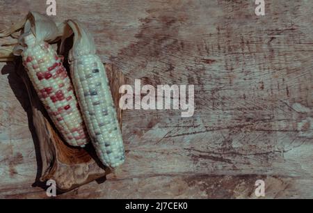 Fresh waxy corn or Sweet glutinous corn on Rustic old wooden background. Tropical whole grain food, Top view, Copy space, Selective focus. Stock Photo