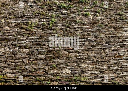 Stone wall with green moss Stock Photo