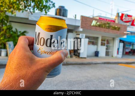 Chemuyil Mexico 02. February 2022 Modelo beer can in the hand with cityscape landscape and store of Chemuyil in Quintana Roo Mexico. Stock Photo
