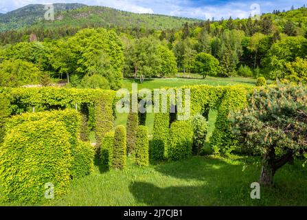 Roccolo del Sauch is a very ancient system for catching birds. Vegetable construction in the trees, formerly used for the capture of birds,Italy Stock Photo