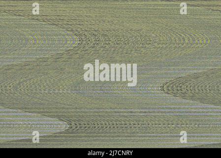 Abstract background of blurred wavy green lines Stock Photo