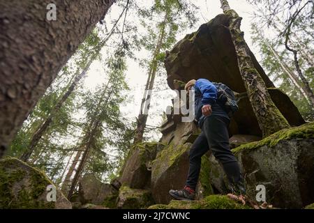 Low angle shot of hiker stepping on rocks in forest Stock Photo