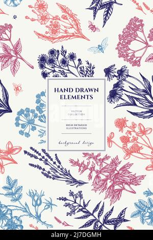 Tea herbs pattern card design. Hand drawn chamomile, chicory, cinnamon rose, etc. Stock Vector