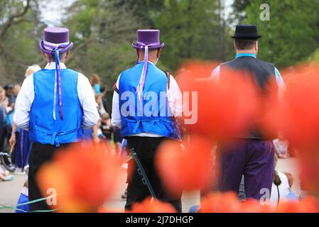 Edenbridge Morris dancers performing at Hever Castle on a miserable May Day weekend, 2022, in Kent, UK Stock Photo