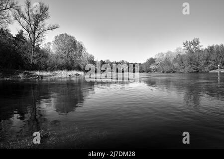 deciduous forest and the wide-spread Warta River in Poland, monochrome Stock Photo